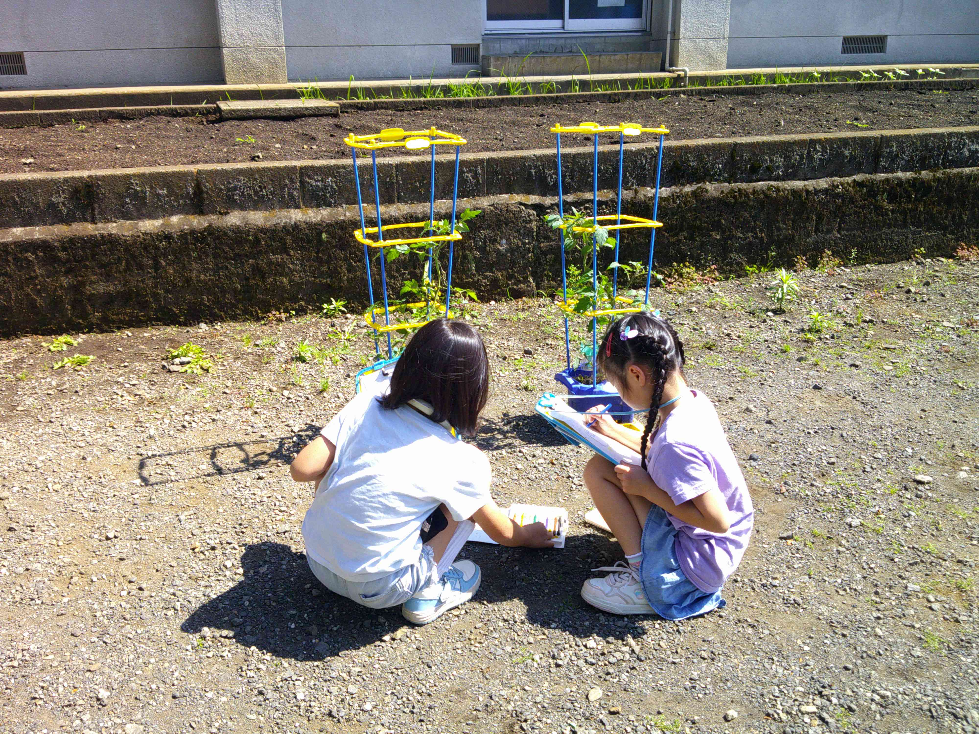 DSCF0244 (1)