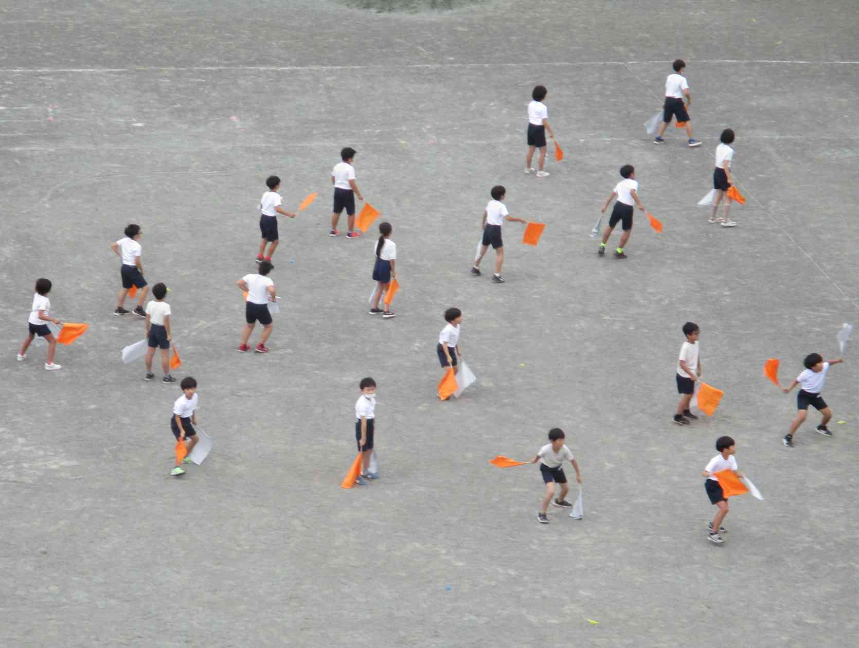 ４年運動会③