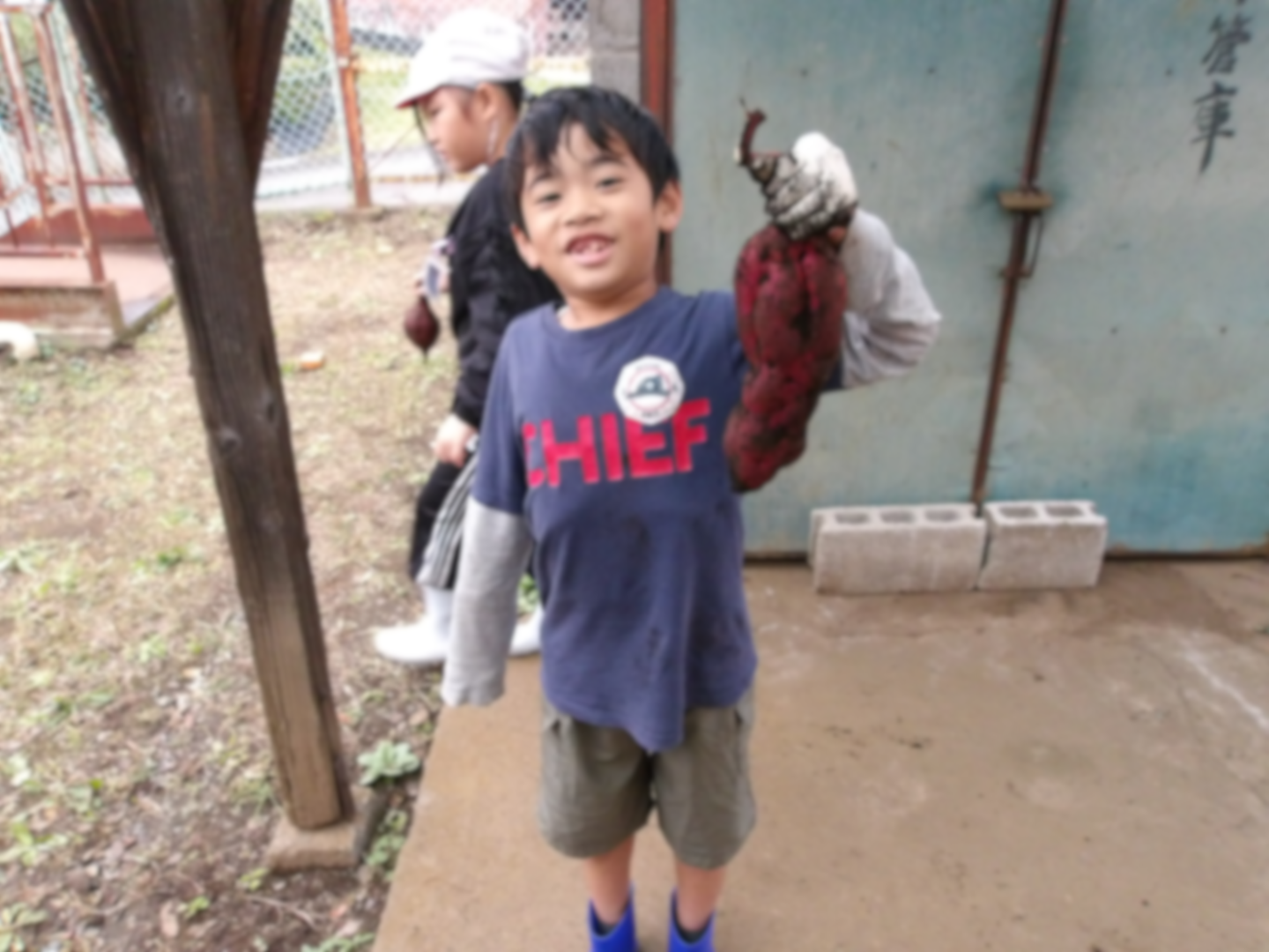 名称未設定のデザイン (25)