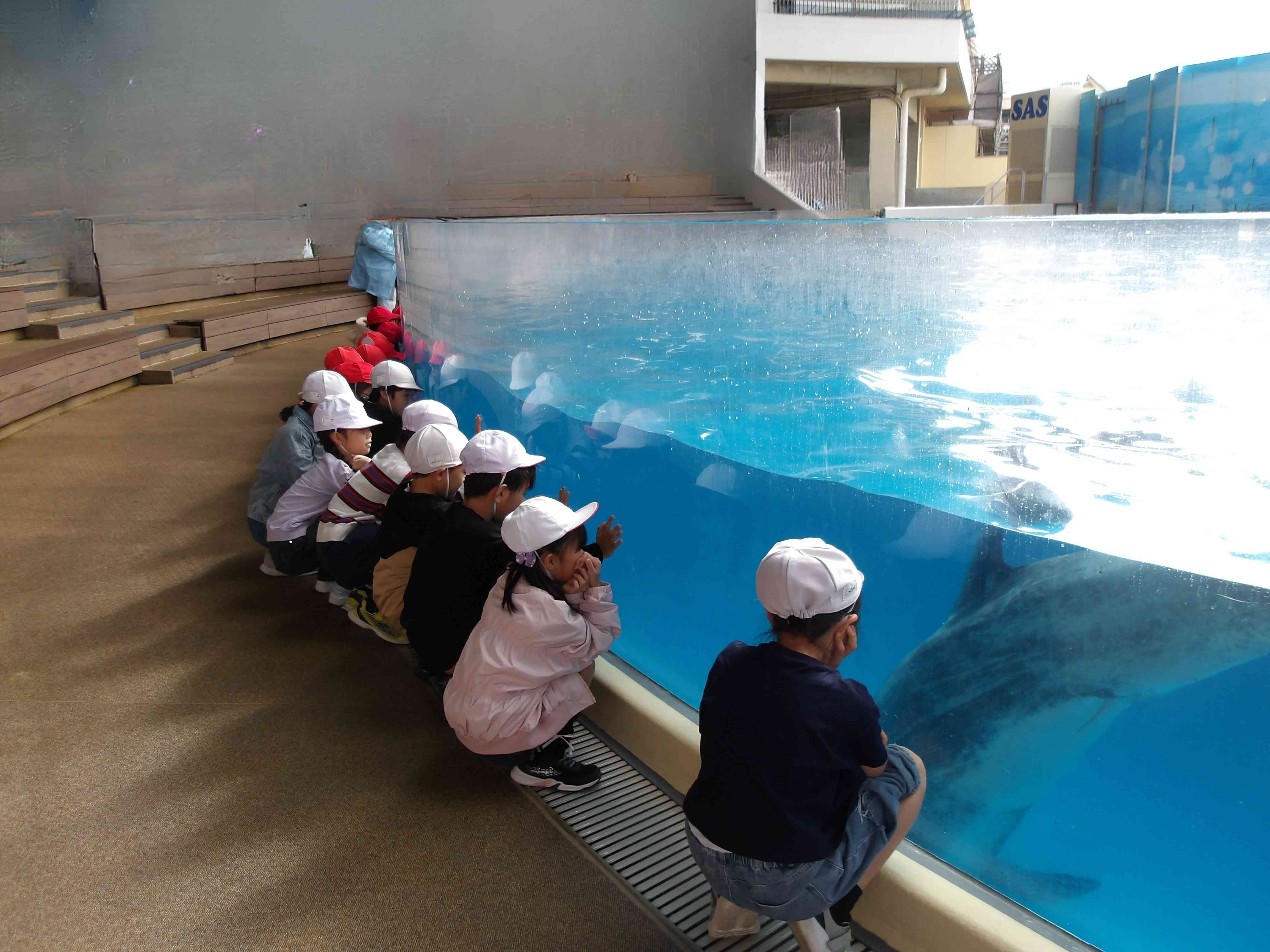 9cb02ca3-0650-4b02-a8e3-6dd1eb4383b0